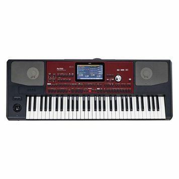 Рабочая станция Korg PA700 5890 фото