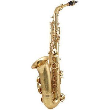Саксофон Yanagisawa A-WO10 Elite Alto Sax 6042 фото