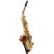 Саксофон Buffet Crampon Prodige Alto Sax 6026 фото 6