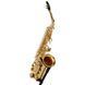Саксофон Buffet Crampon Prodige Alto Sax 6026 фото 2